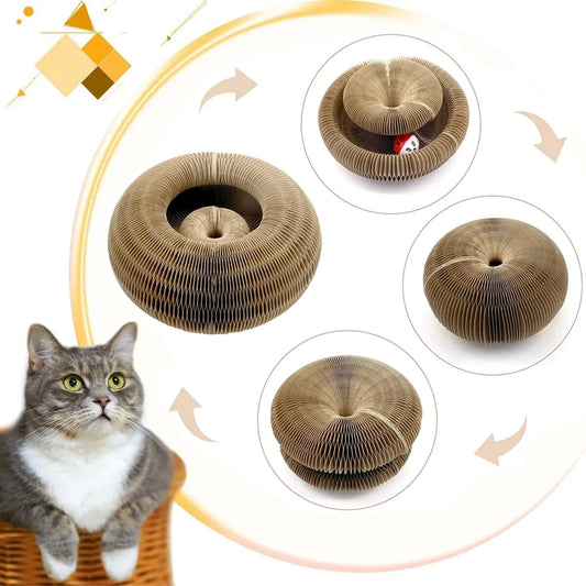 Zuffy's Cat Whirlpool